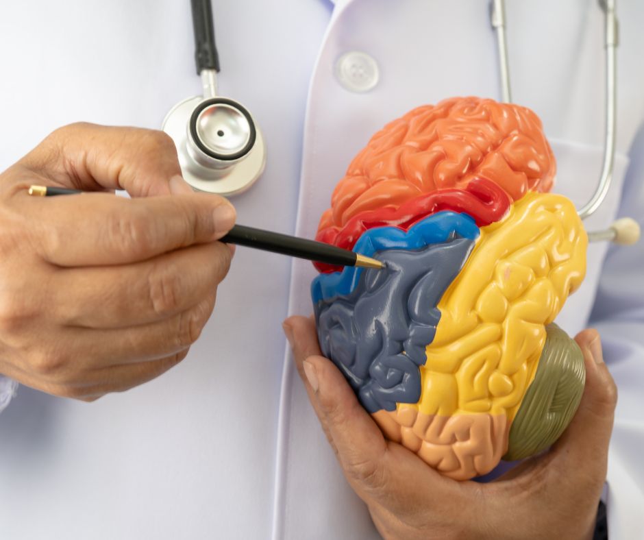 neurochirurgie syndrome de Joubert